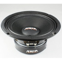Эстрадный динамик ARIA BZN-165S